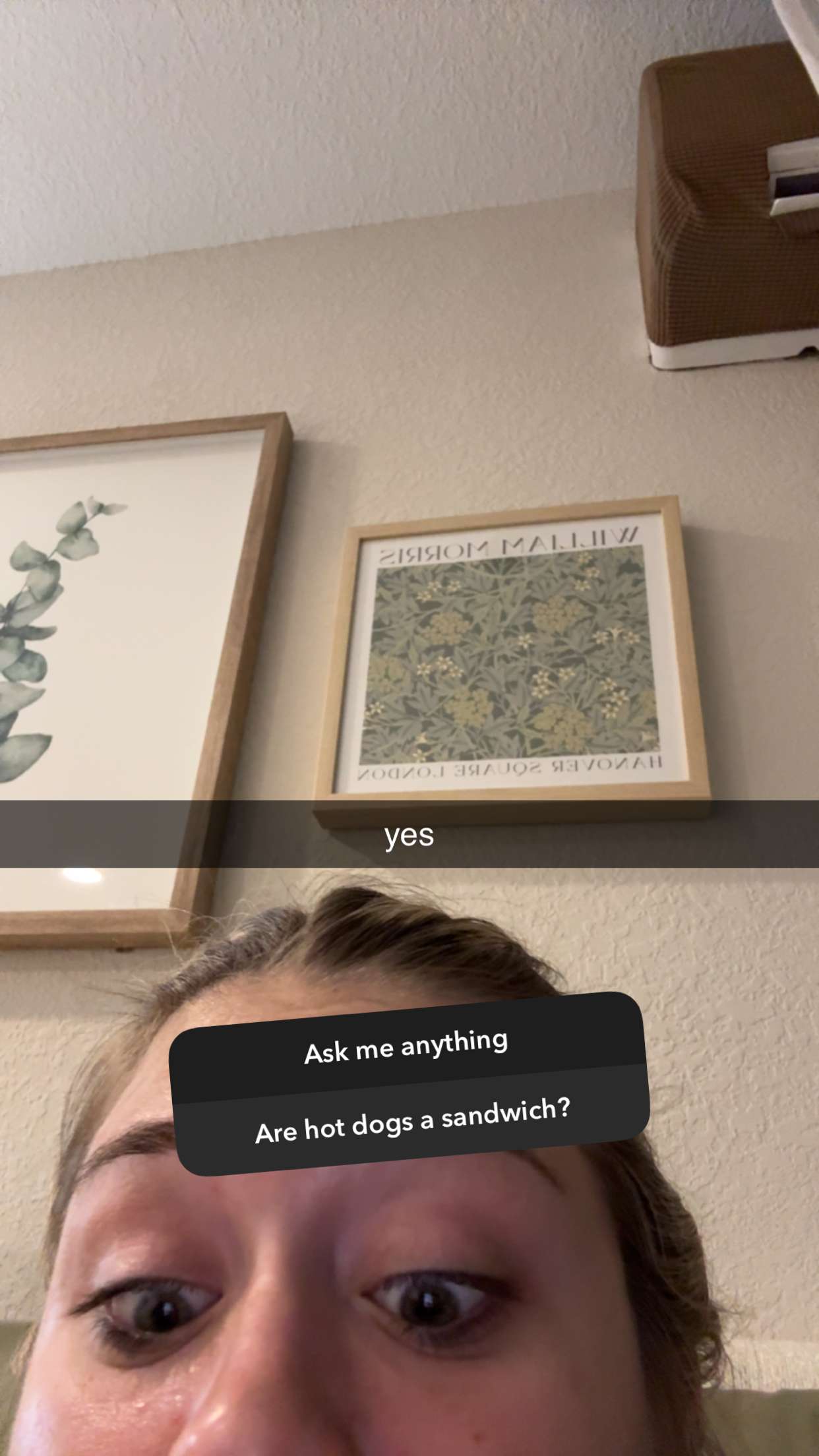 kkierstenking snapchat image archive image