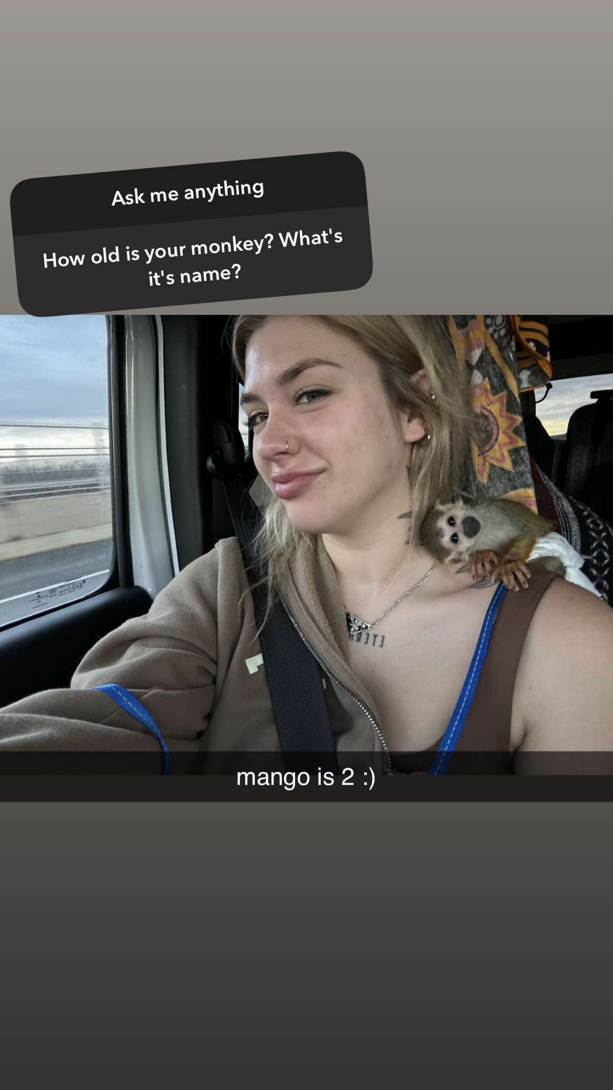 kkierstenking snapchat image archive image