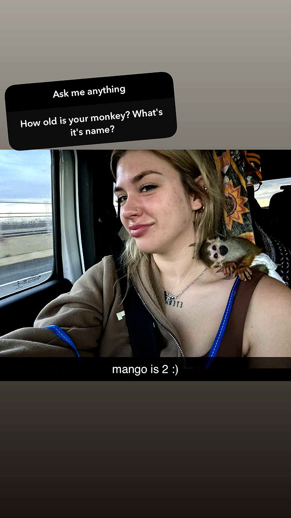 kkierstenking image ~ Altpins