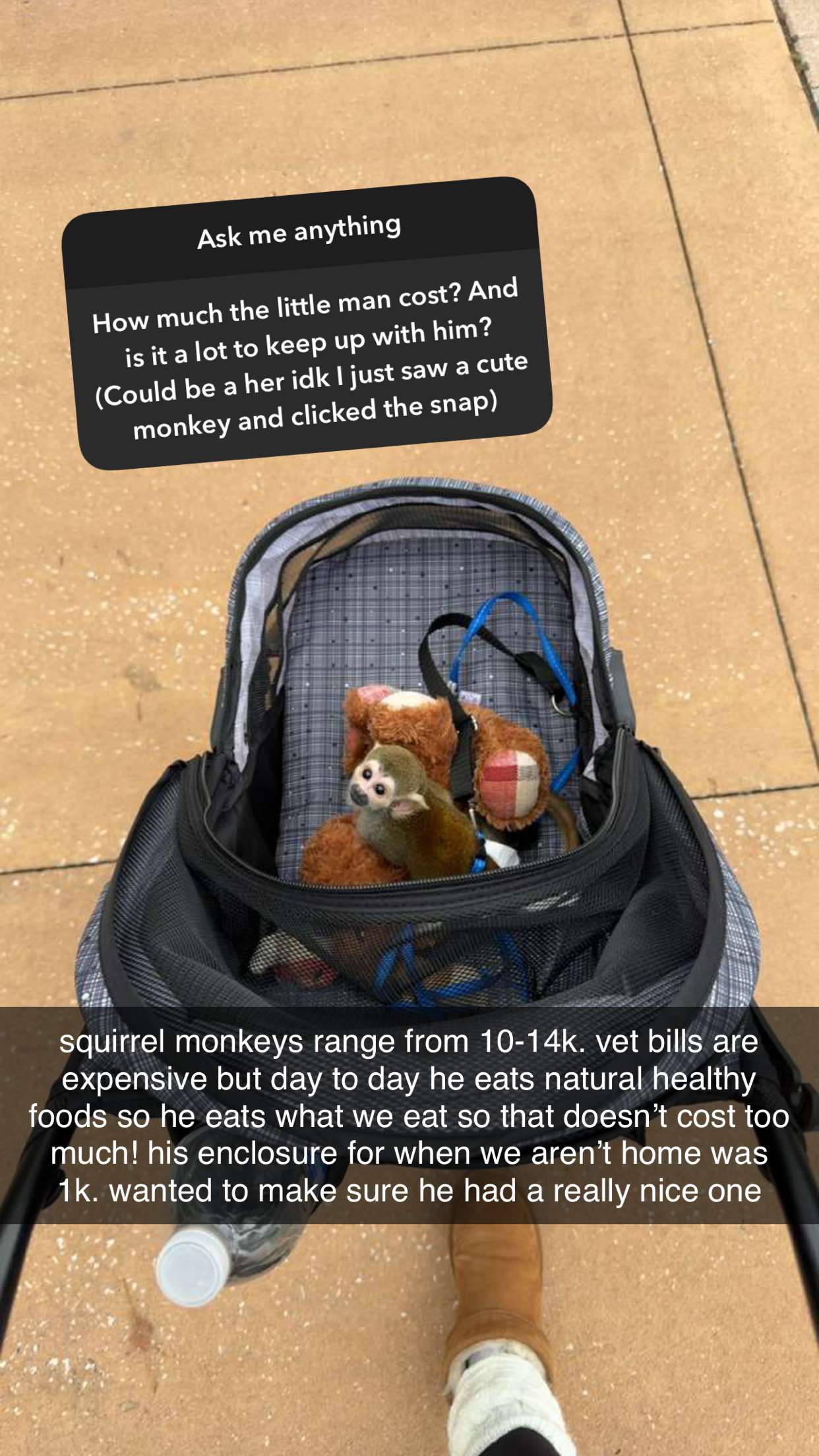 kkierstenking snapchat image archive image