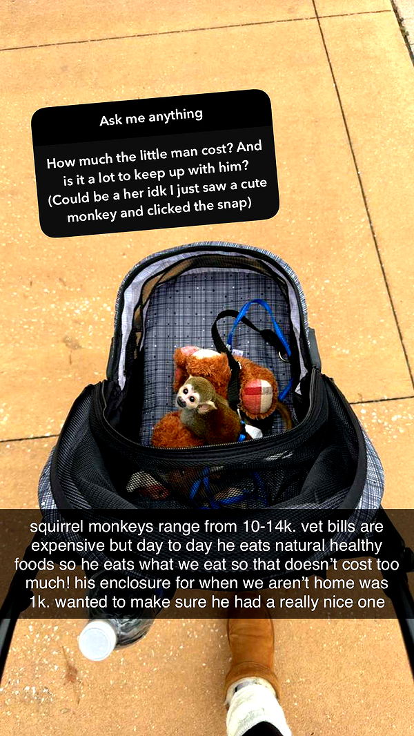 kkierstenking image ~ Altpins