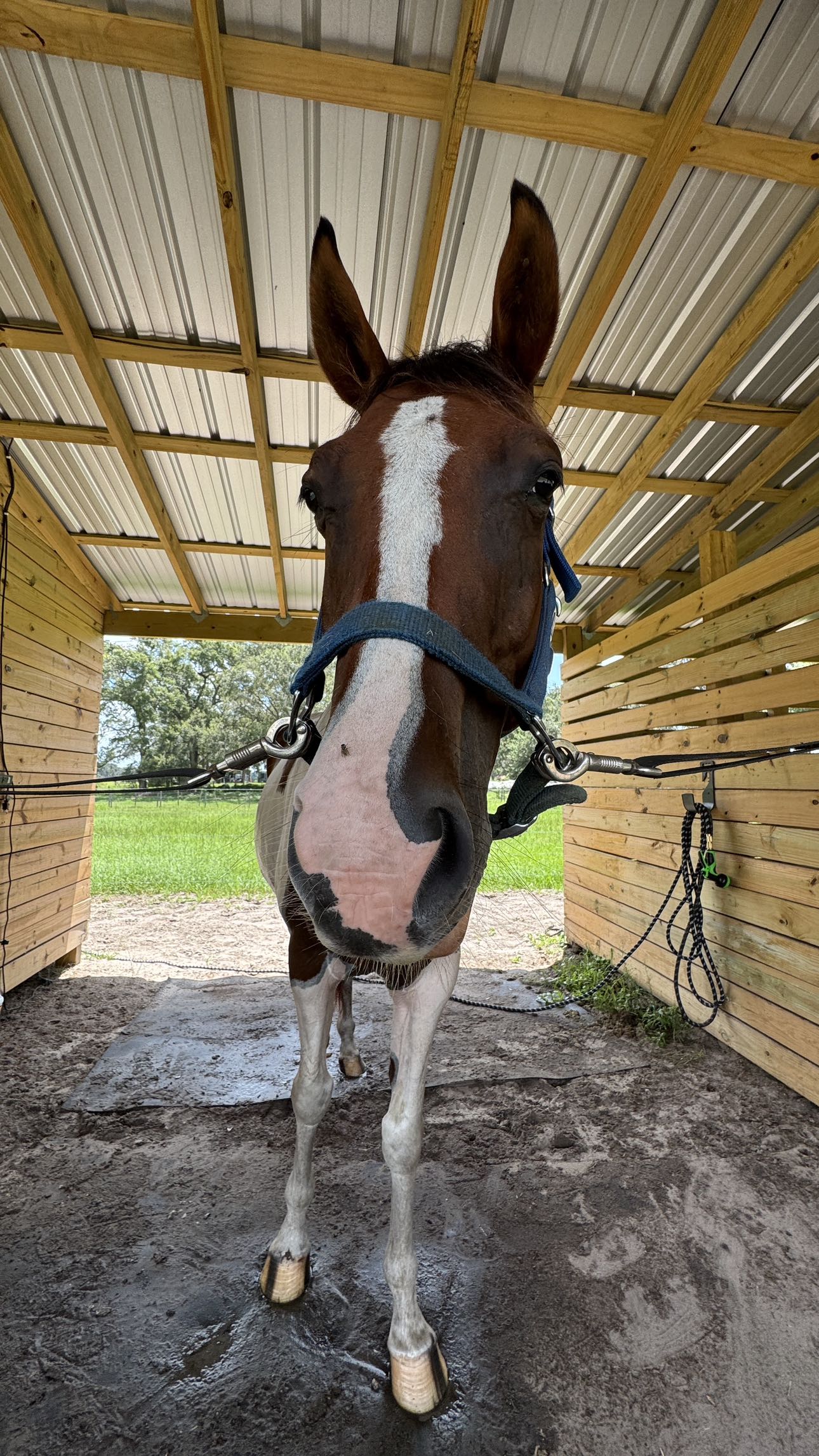 kkierstenking snapchat image archive image