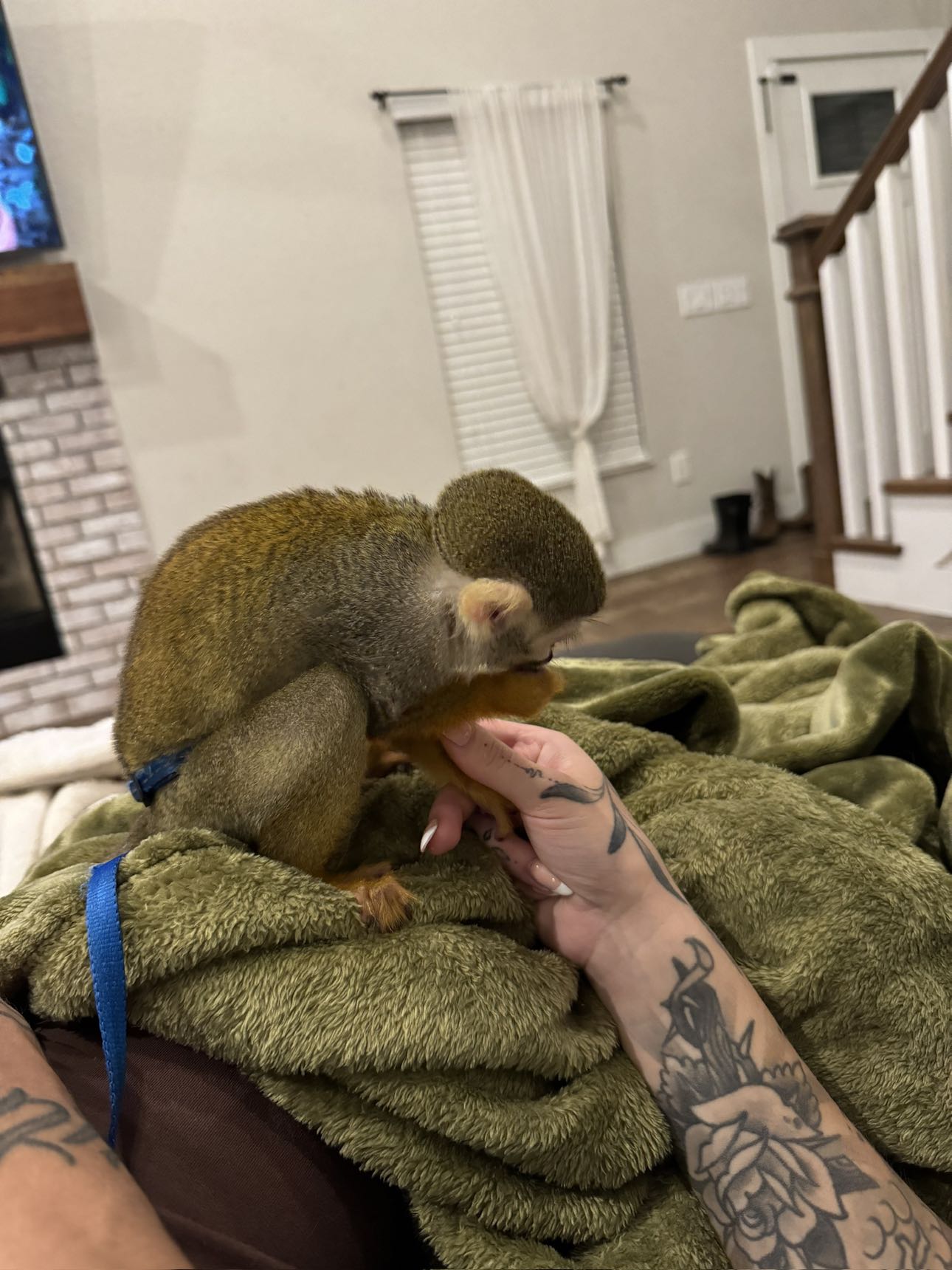 kkierstenking snapchat image archive image