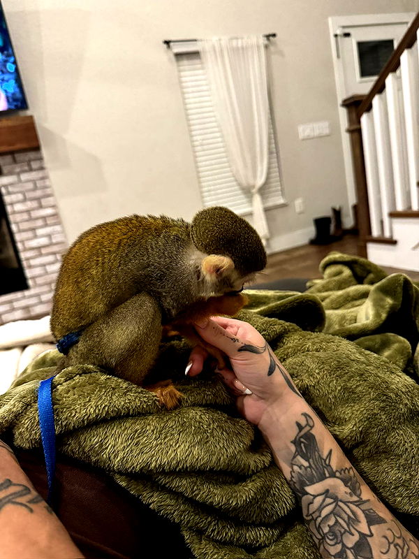 kkierstenking image ~ Altpins