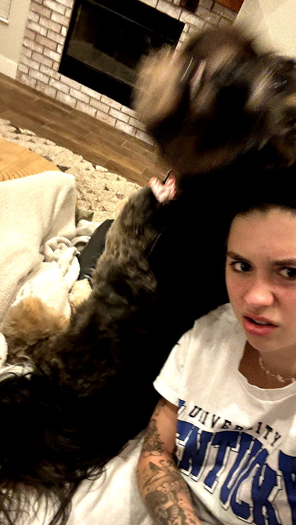 kkierstenking image ~ Altpins