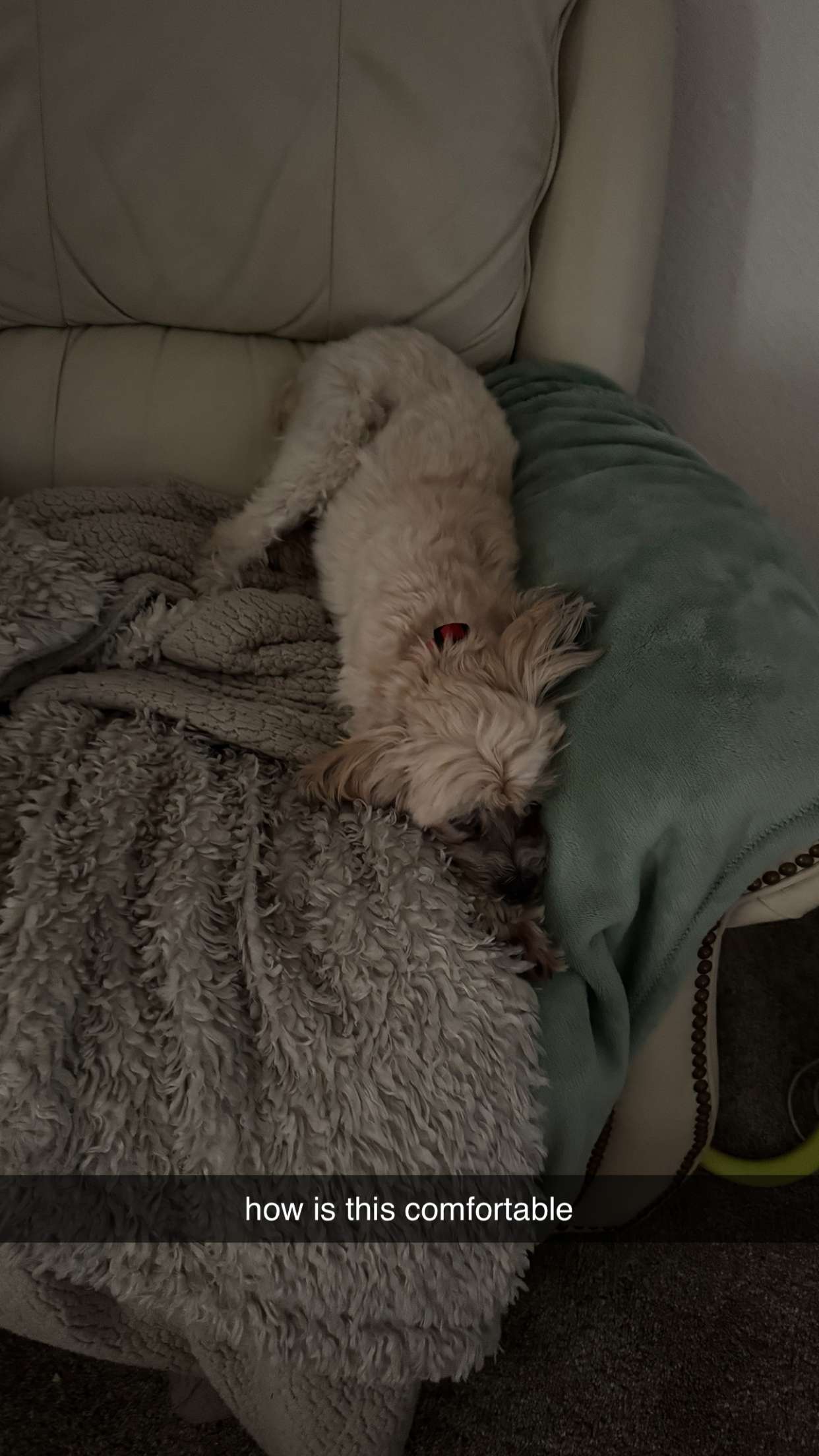 kkierstenking snapchat image archive image