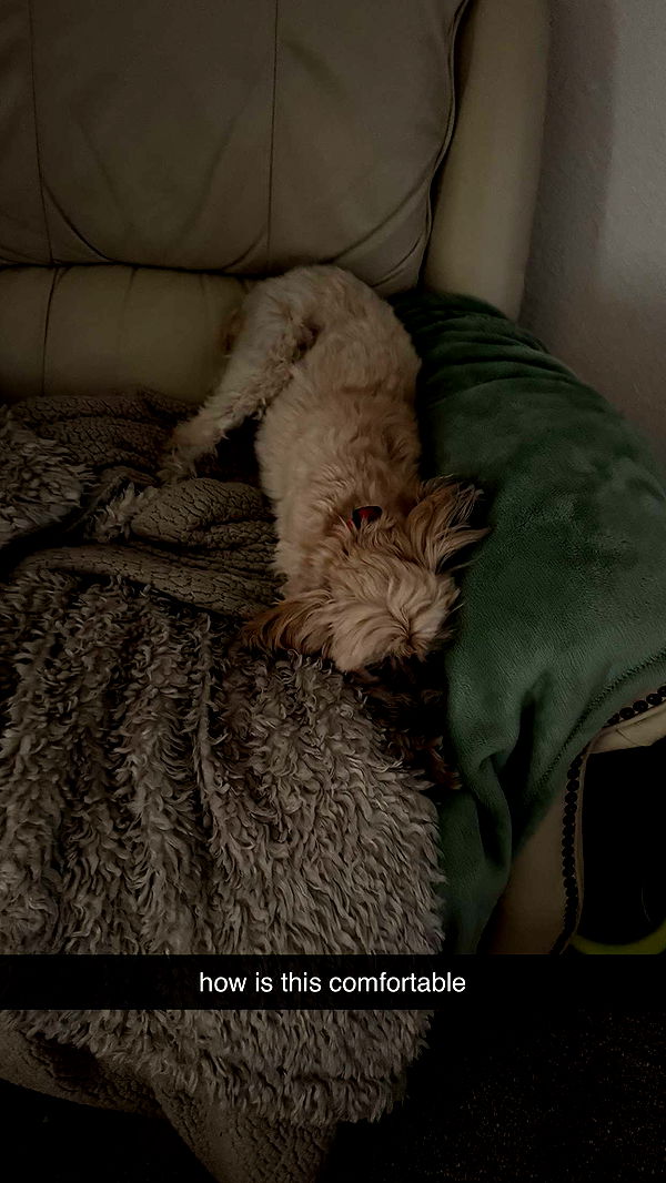 kkierstenking image ~ Altpins