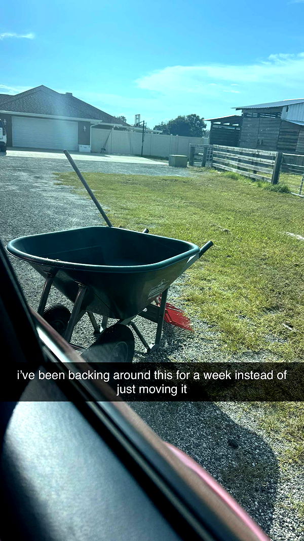 kkierstenking image ~ Altpins