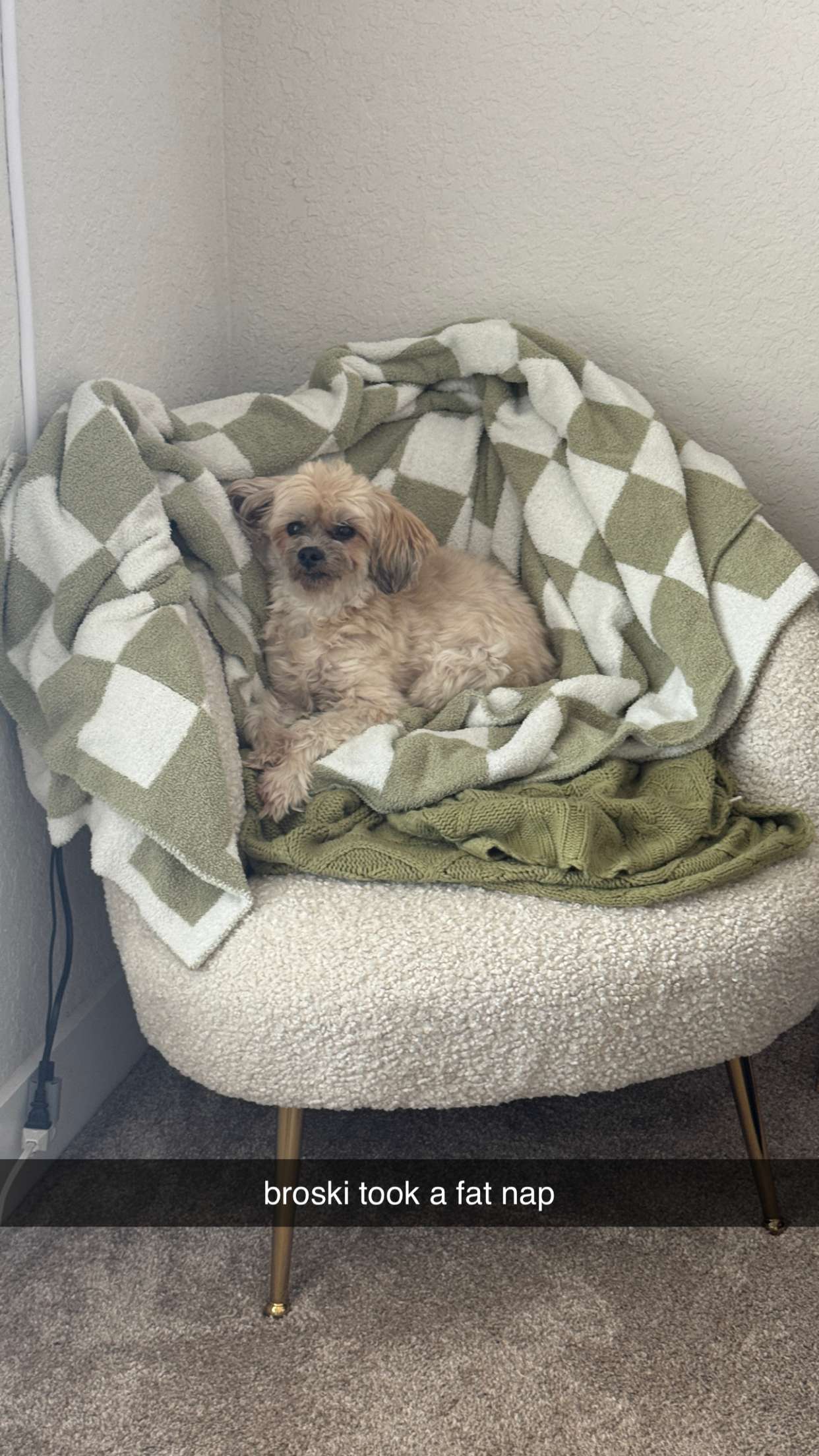 kkierstenking snapchat image archive image