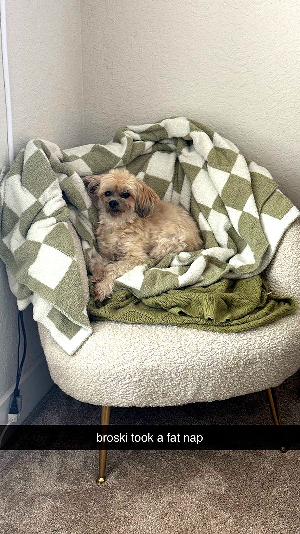 kkierstenking image ~ Altpins