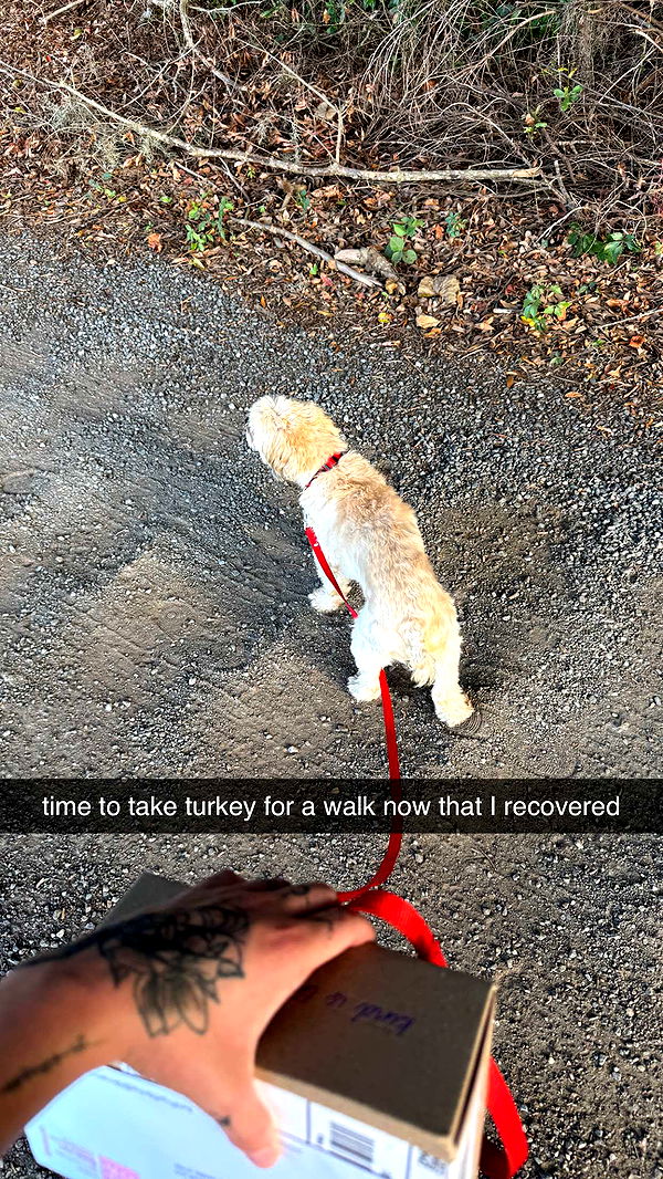 kkierstenking image ~ Altpins