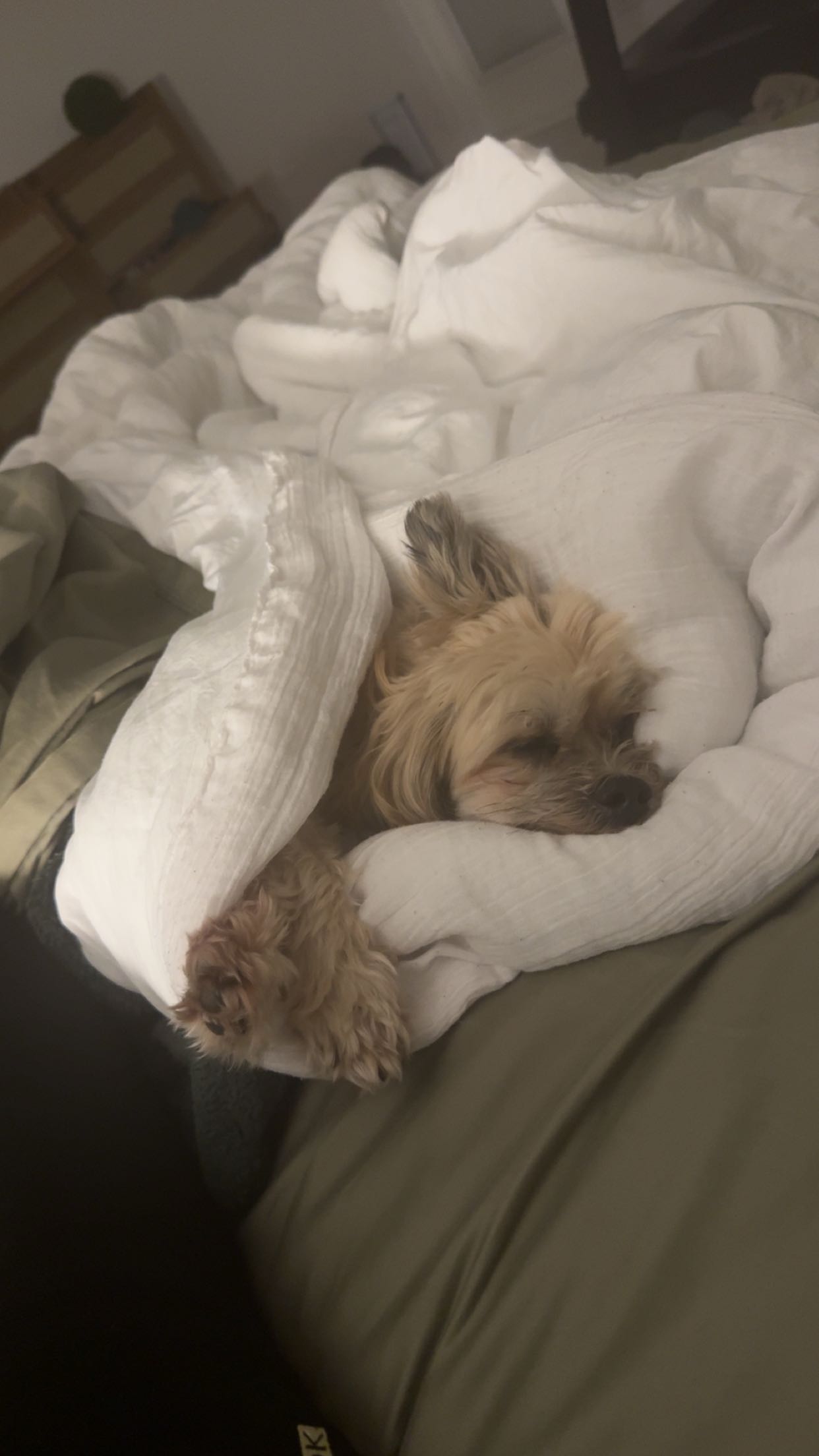 kkierstenking snapchat image archive image