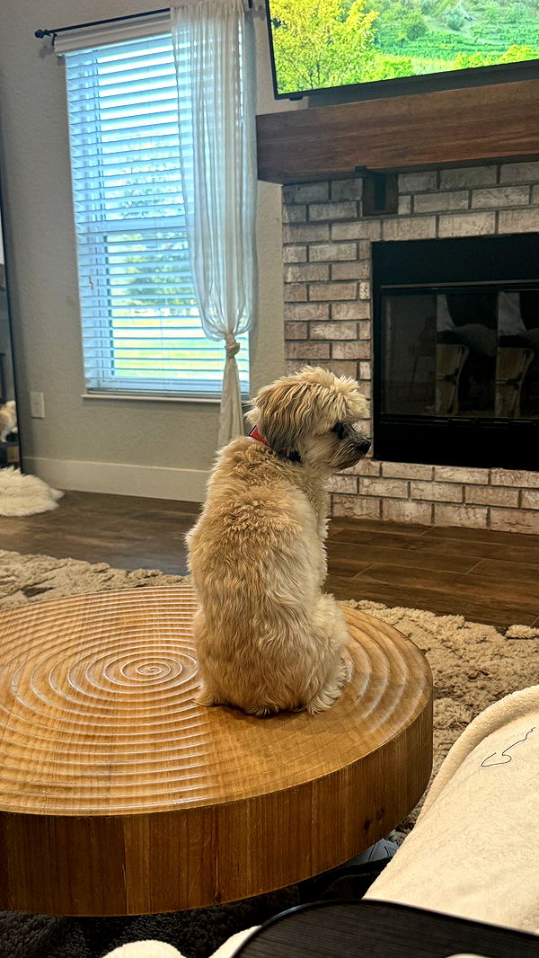 kkierstenking image ~ Altpins