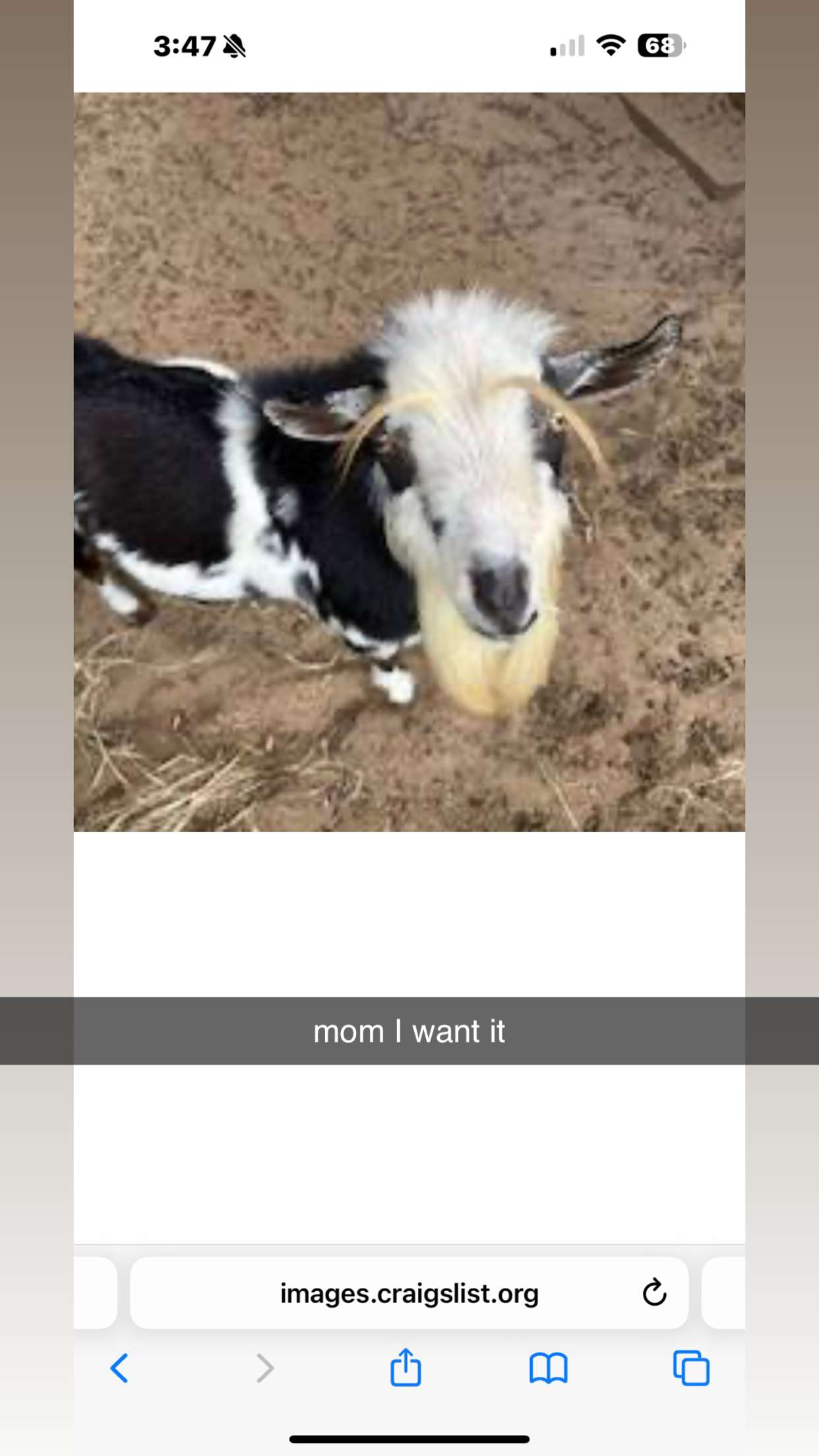 kkierstenking snapchat image archive image