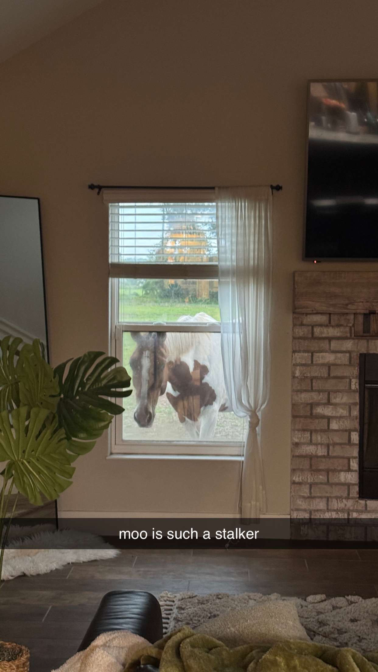 kkierstenking snapchat image archive image