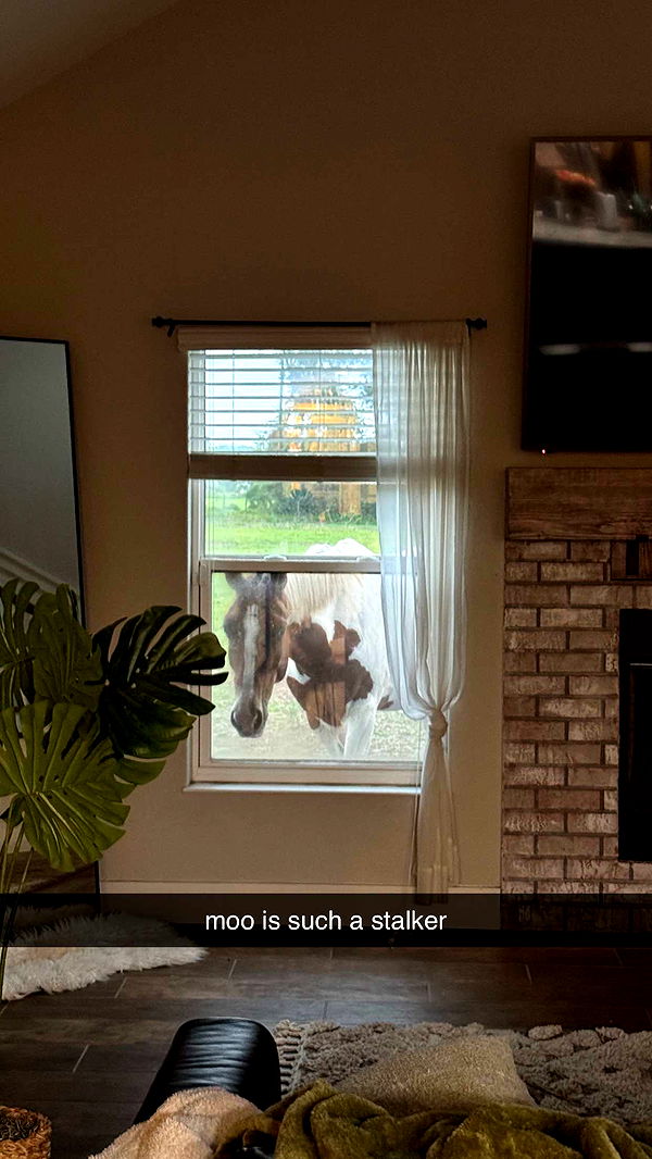 kkierstenking image ~ Altpins