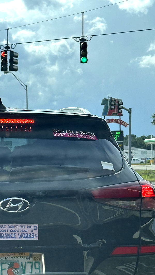 kkierstenking image ~ Altpins