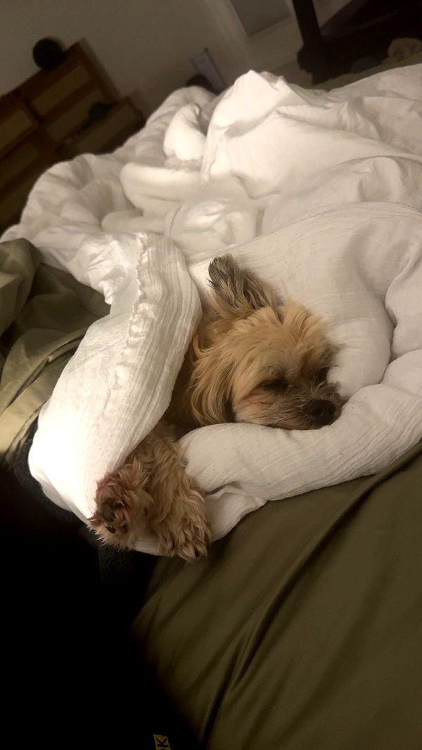 kkierstenking image ~ Altpins