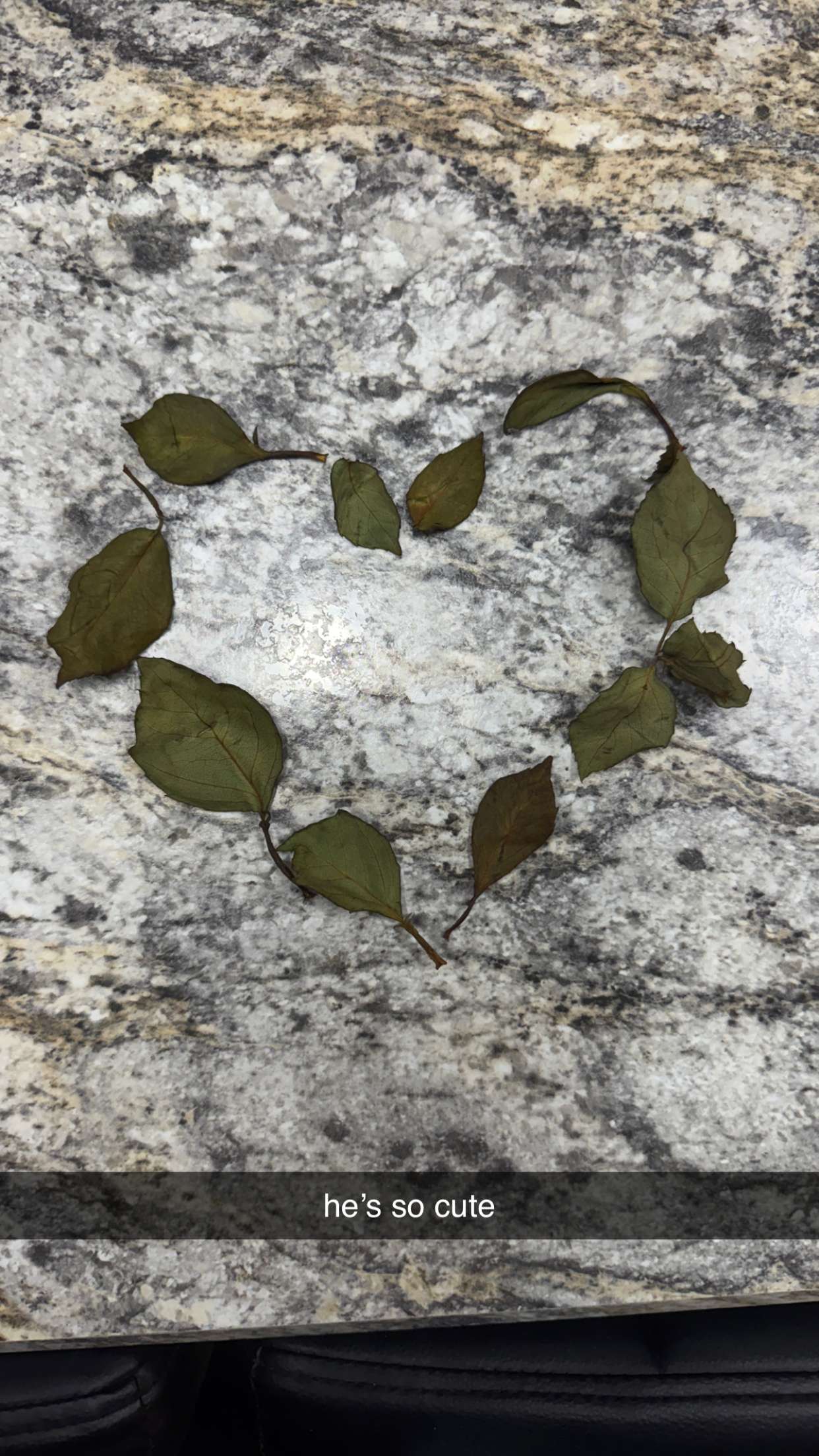 kkierstenking snapchat image archive image