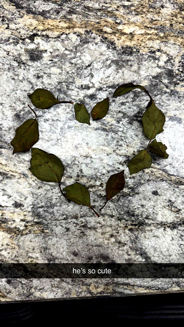 kkierstenking image ~ Altpins