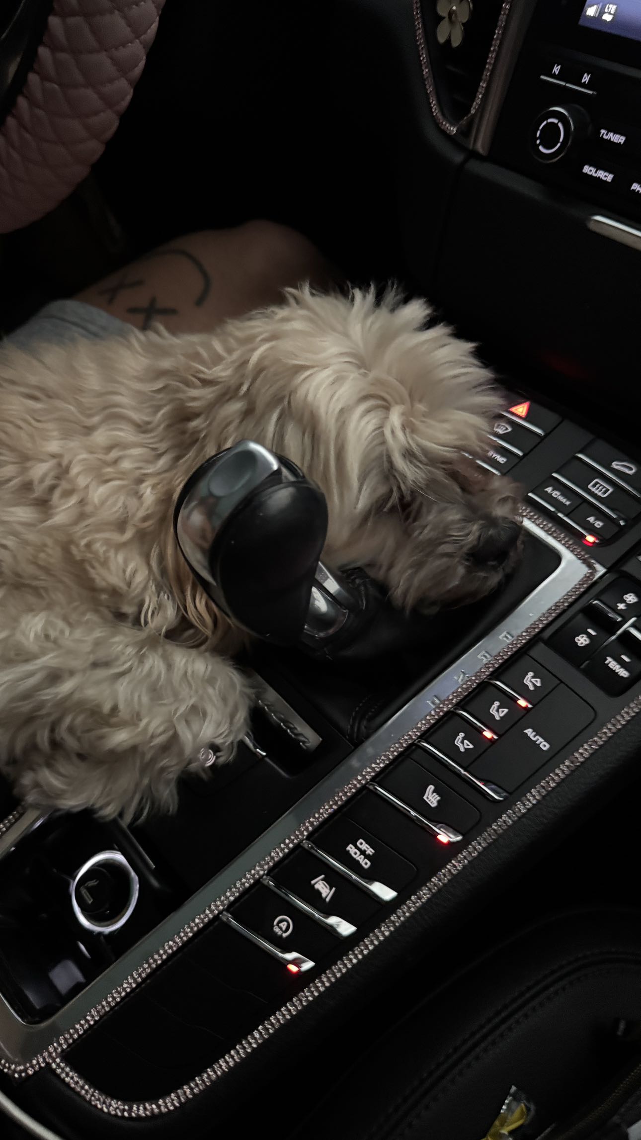 kkierstenking snapchat image archive image