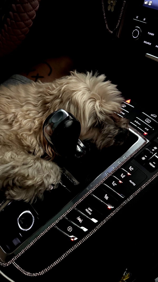 kkierstenking image ~ Altpins