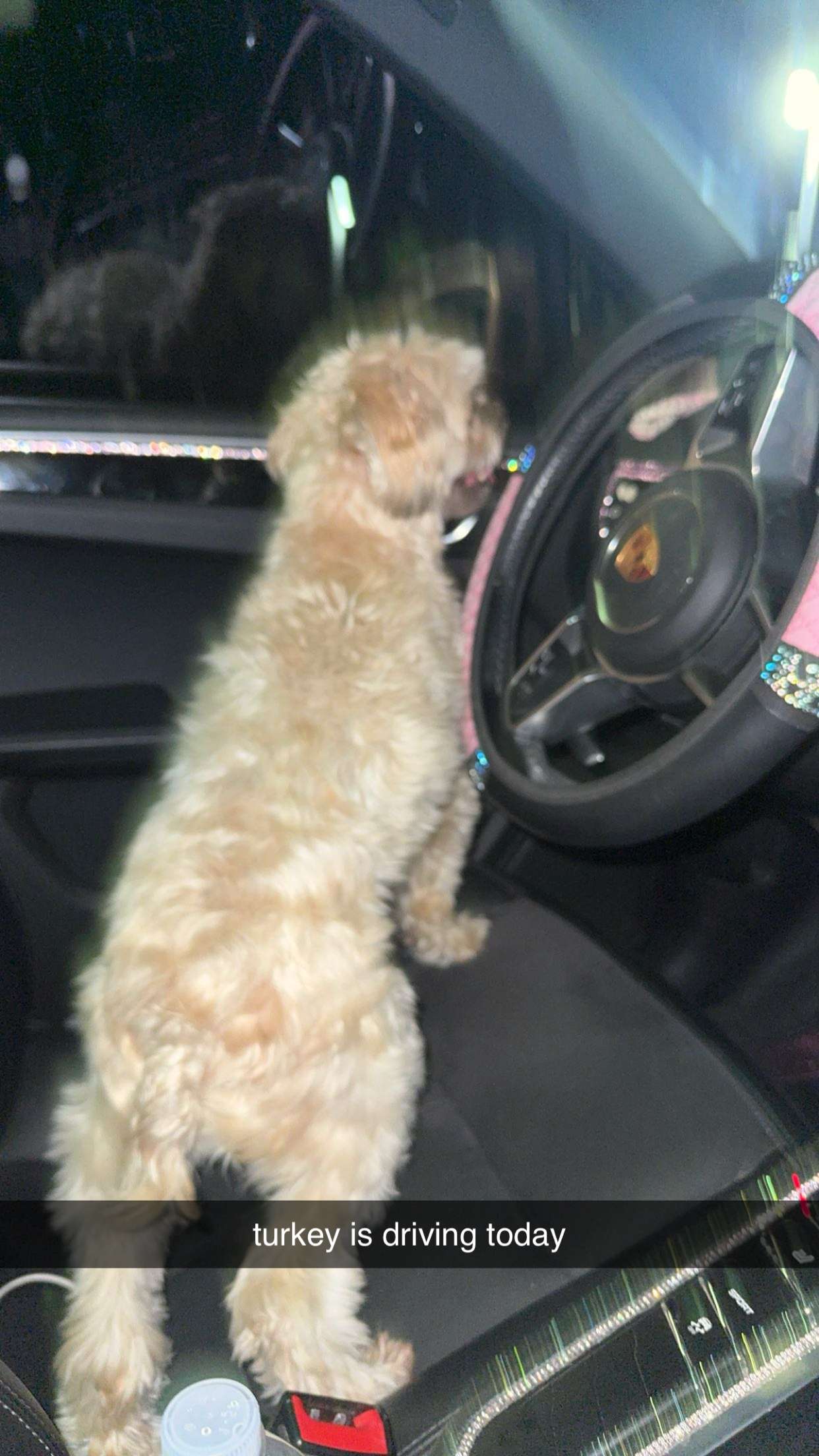 kkierstenking snapchat image archive image