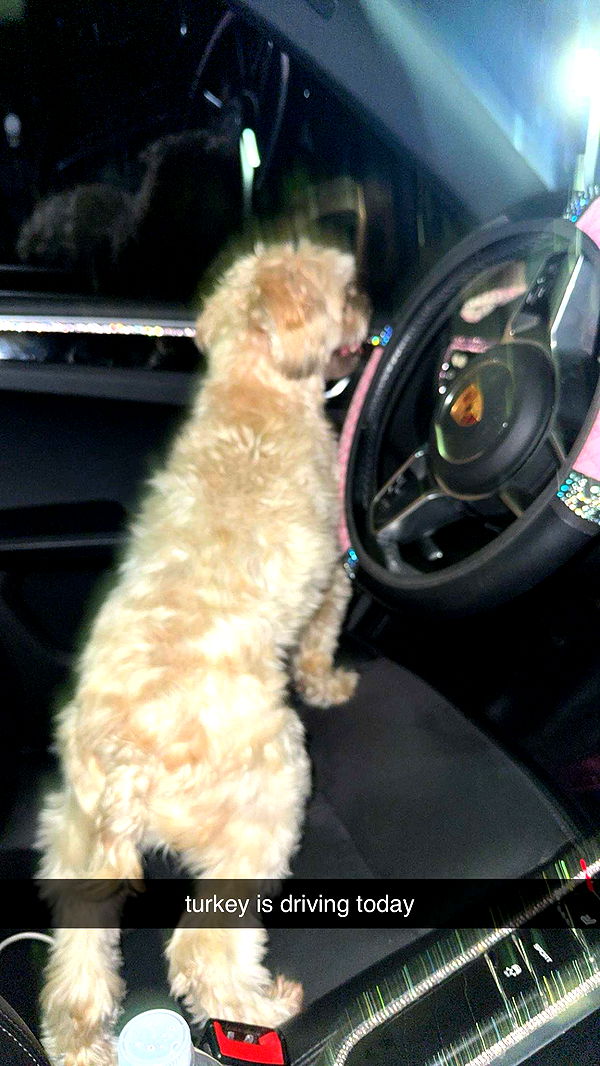 kkierstenking image ~ Altpins