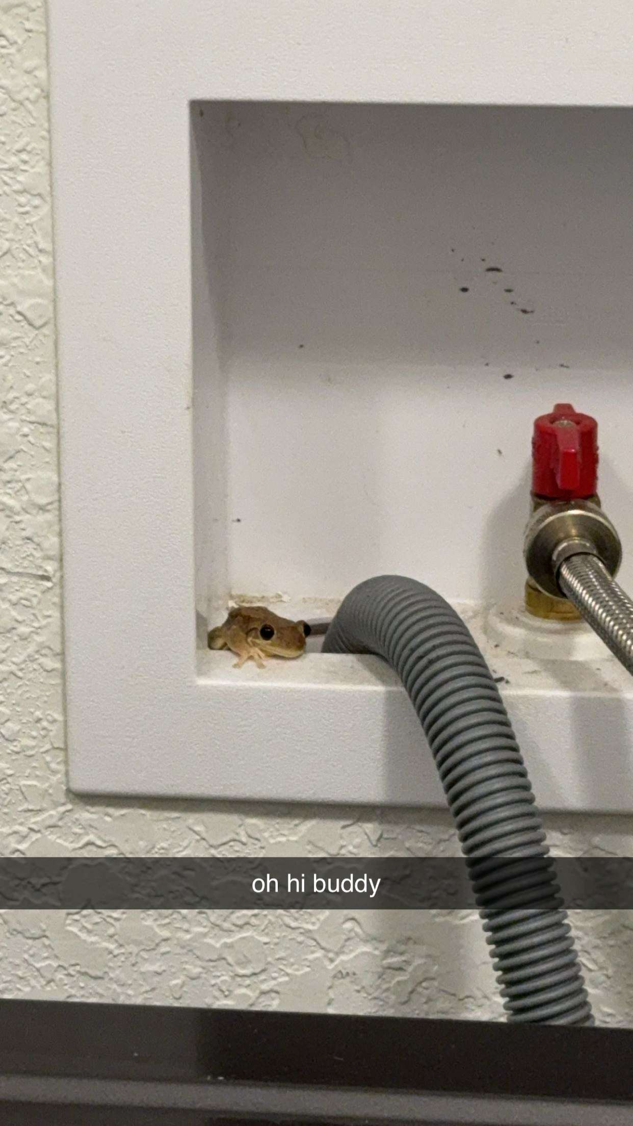 kkierstenking snapchat image archive image