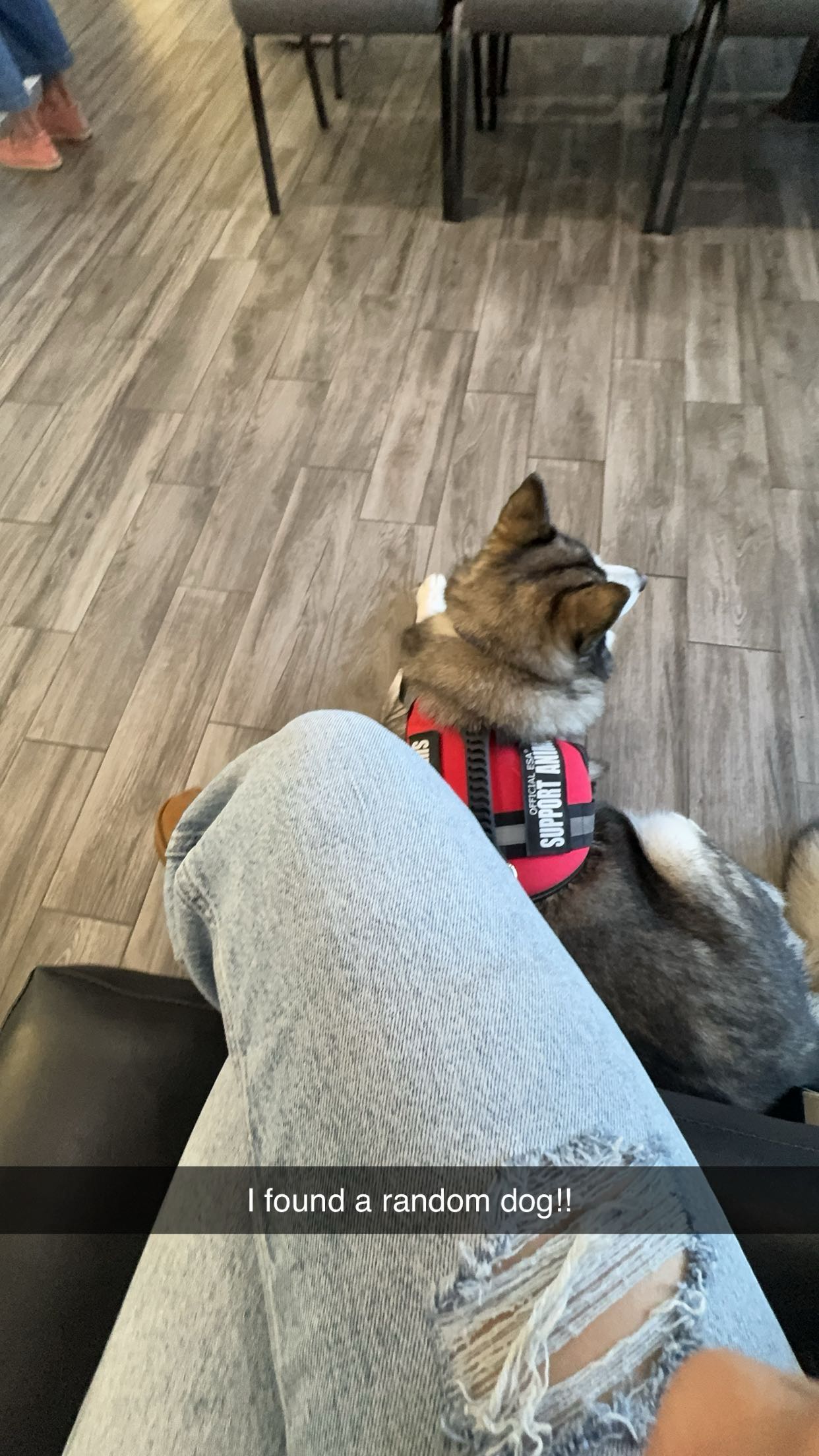 kkierstenking snapchat image archive image