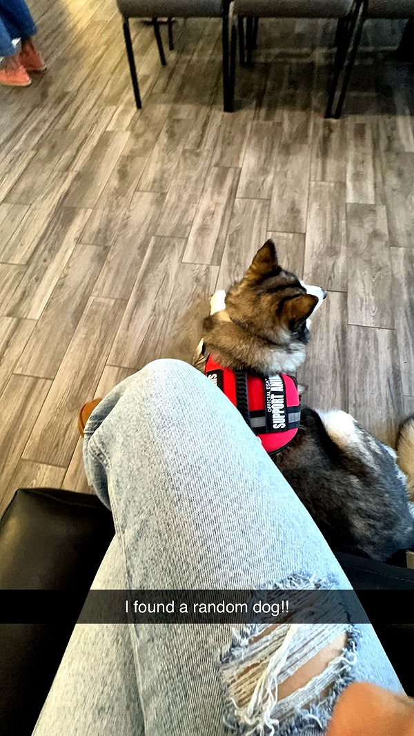 kkierstenking image ~ Altpins