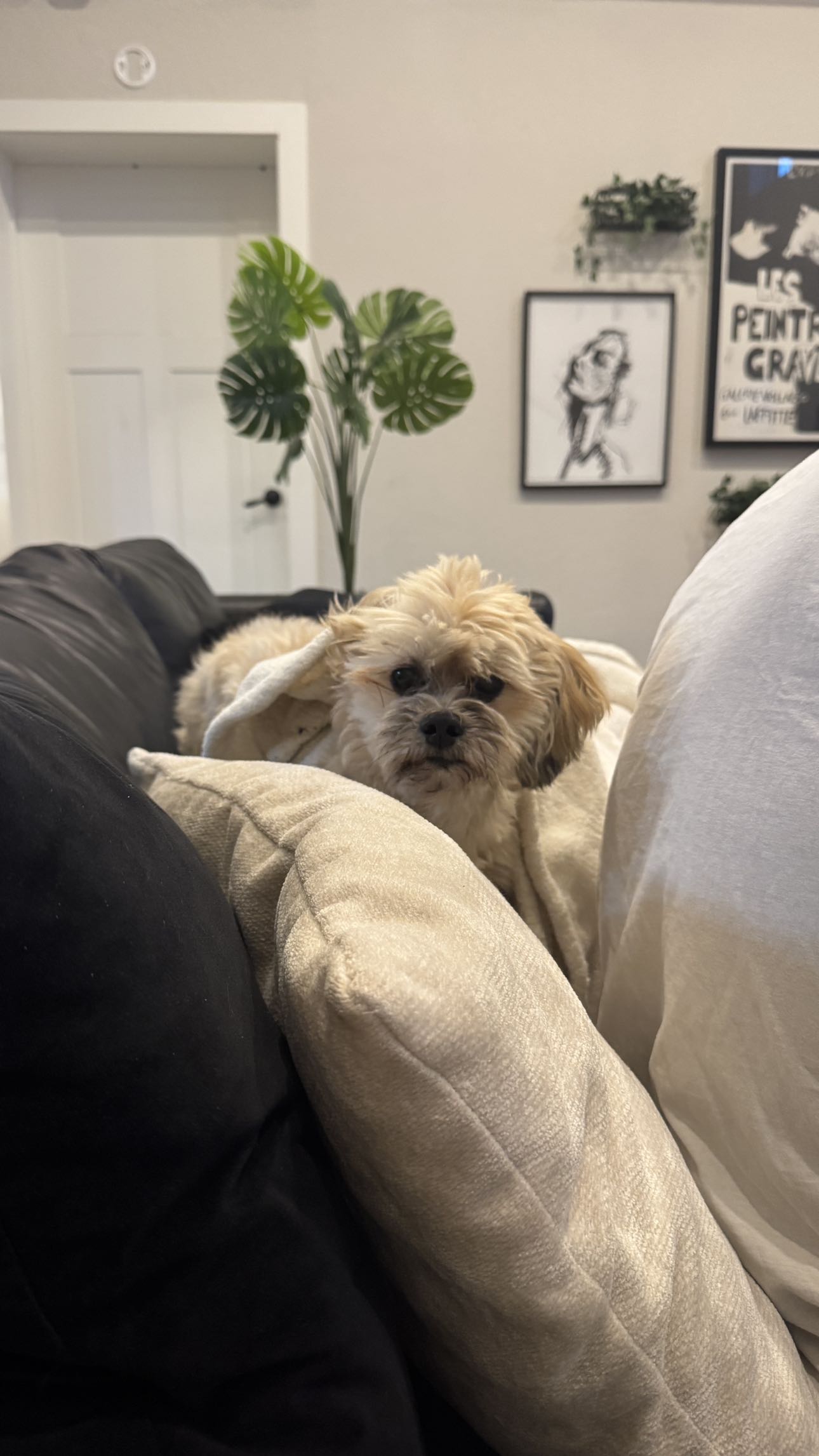 kkierstenking snapchat image archive image