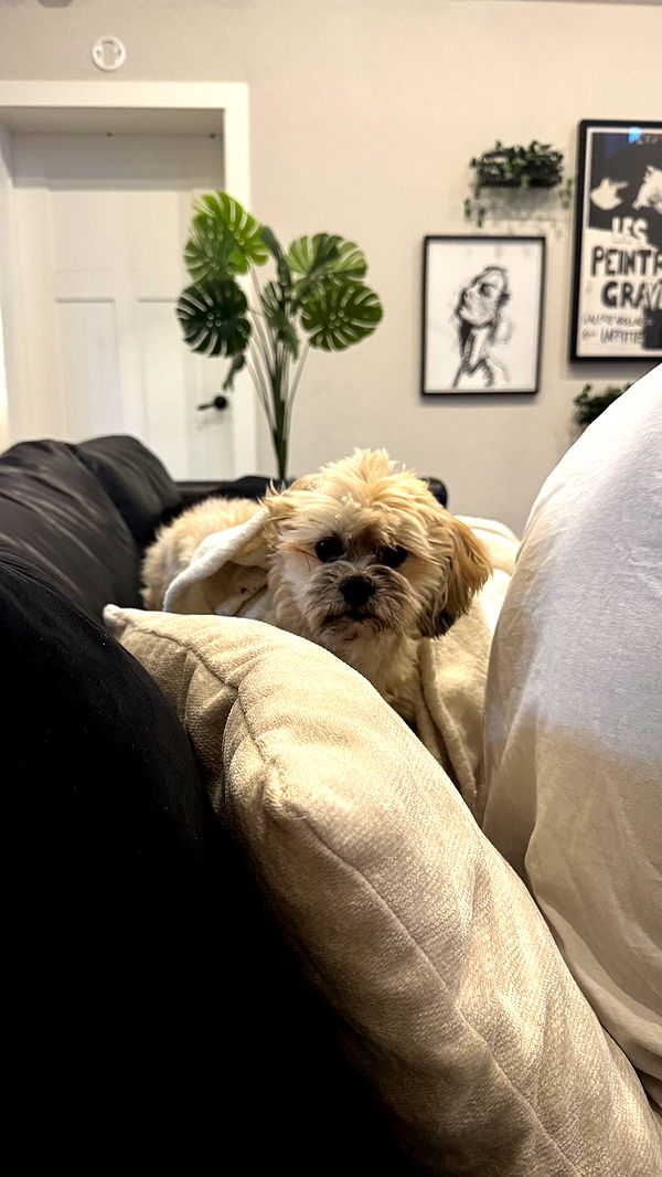 kkierstenking image ~ Altpins