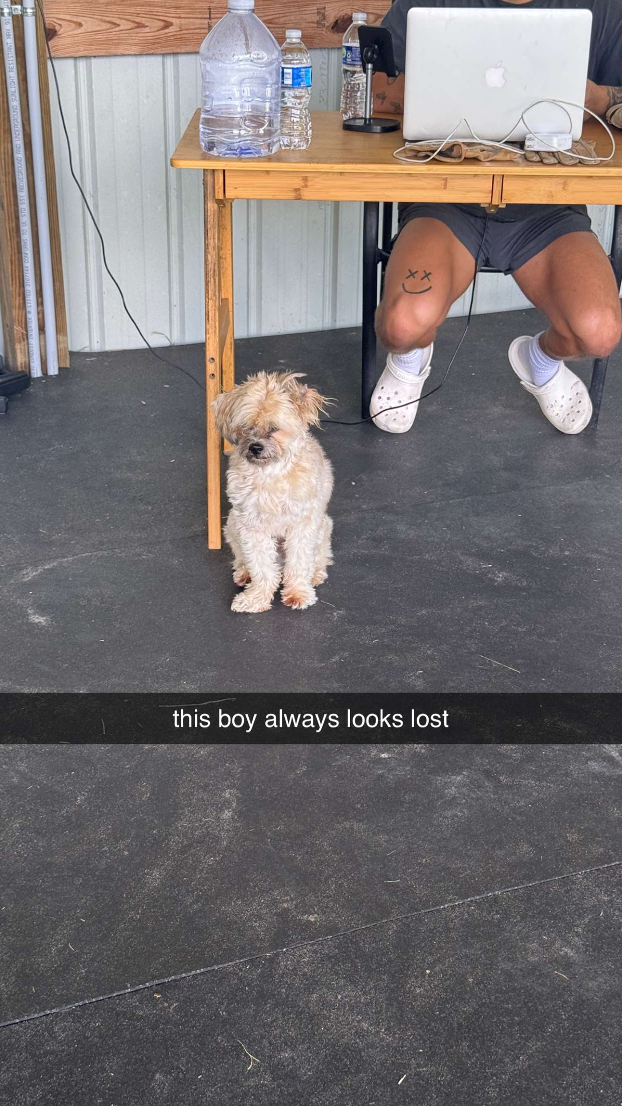 kkierstenking snapchat image archive image