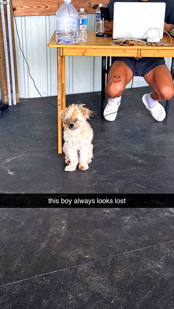 kkierstenking image ~ Altpins