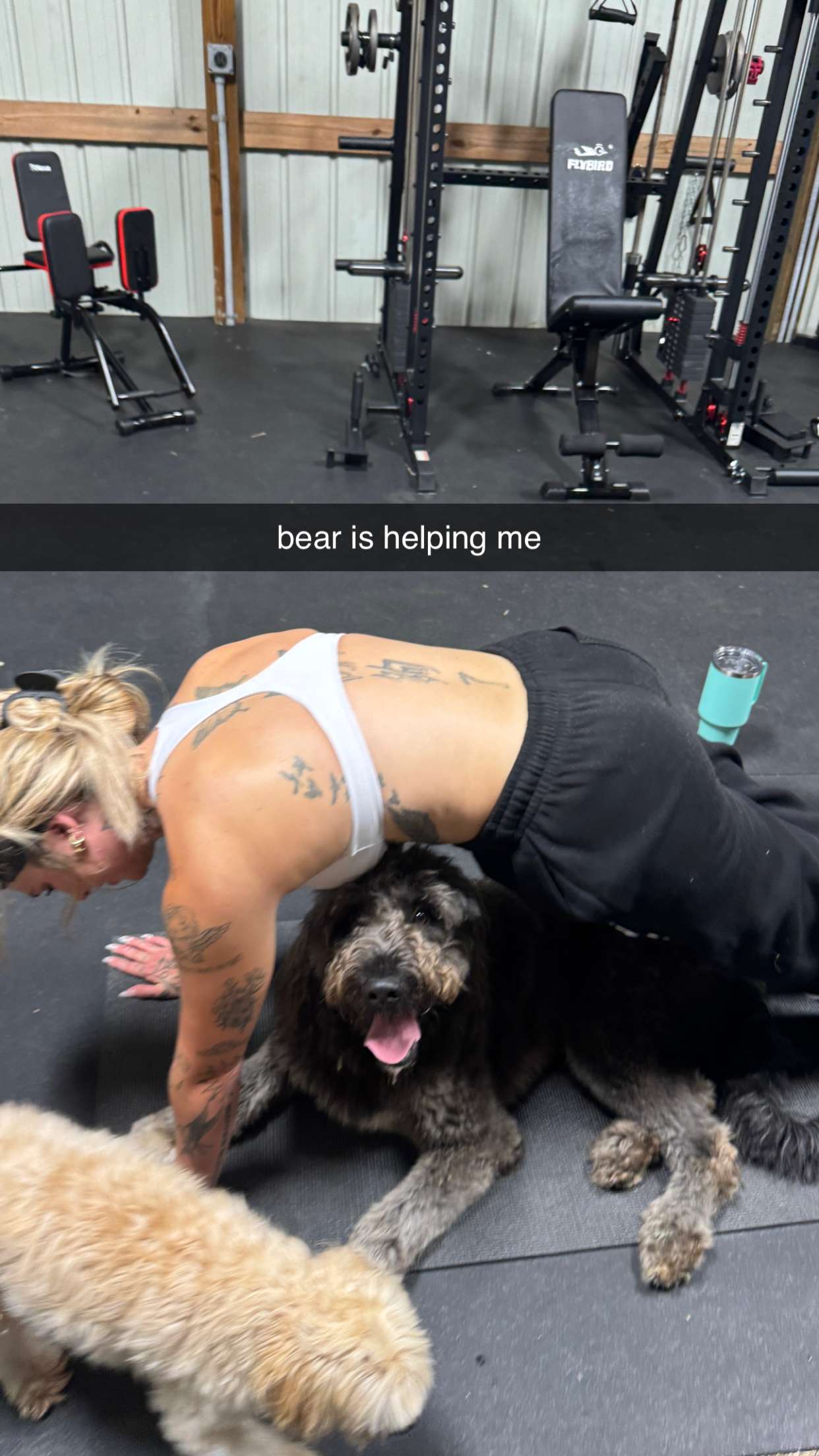 kkierstenking snapchat image archive image