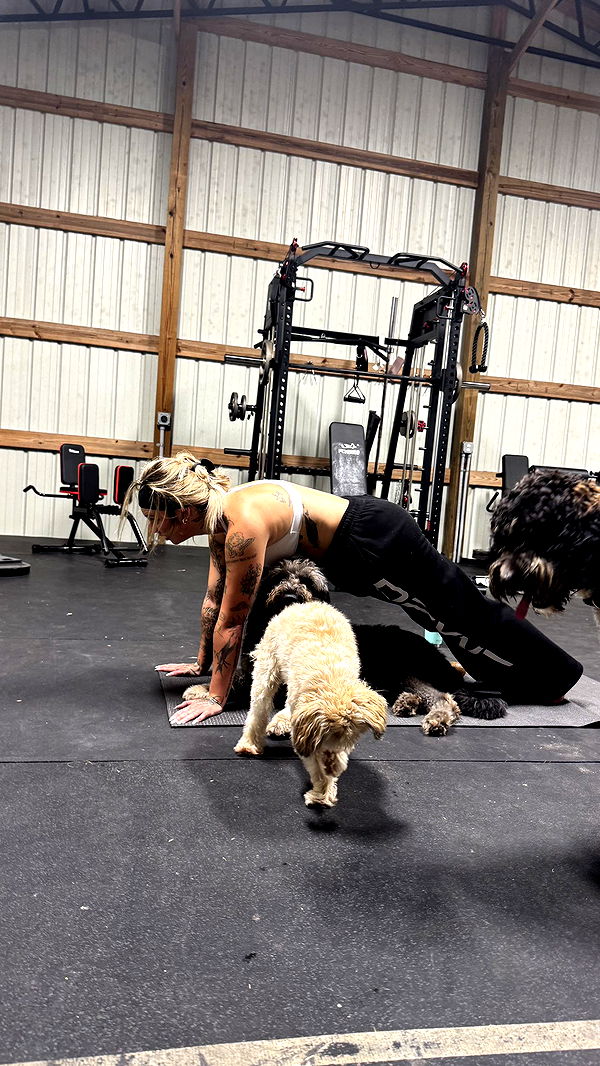 kkierstenking image ~ Altpins