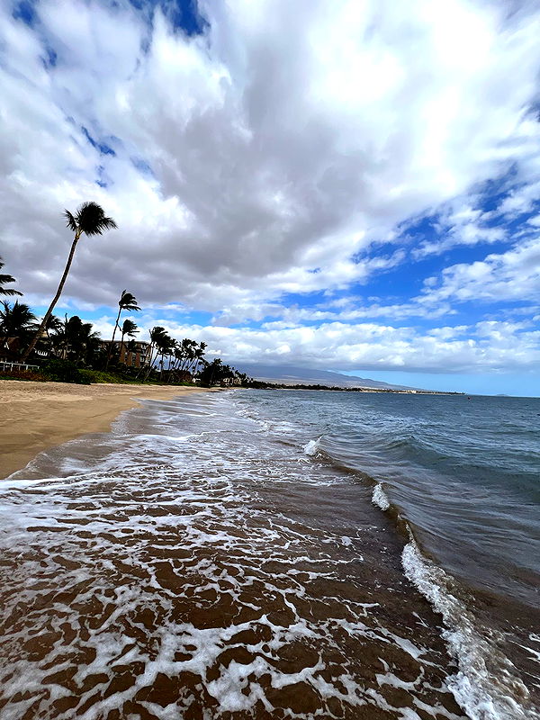 kkierstenking image ~ Altpins