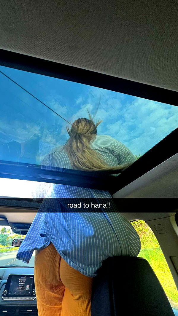 kkierstenking image ~ Altpins