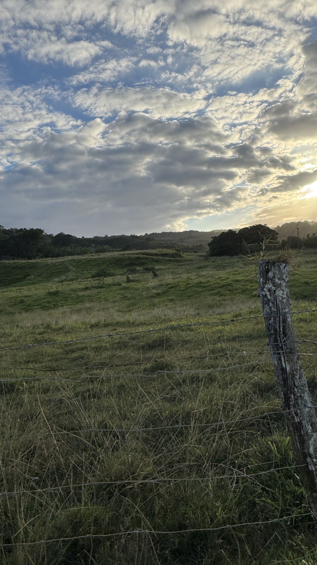 kkierstenking snapchat image archive image