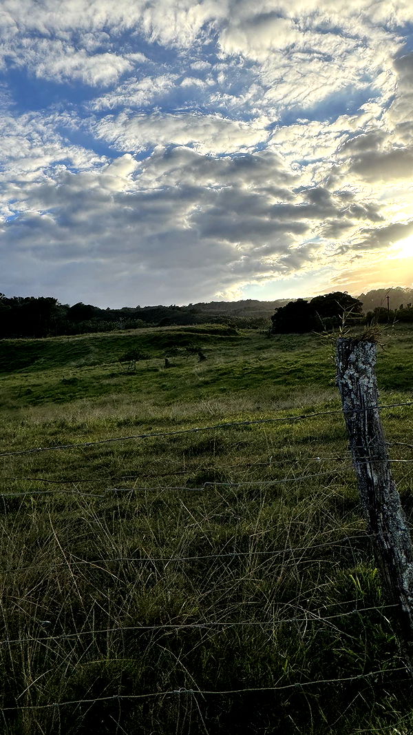 kkierstenking image ~ Altpins