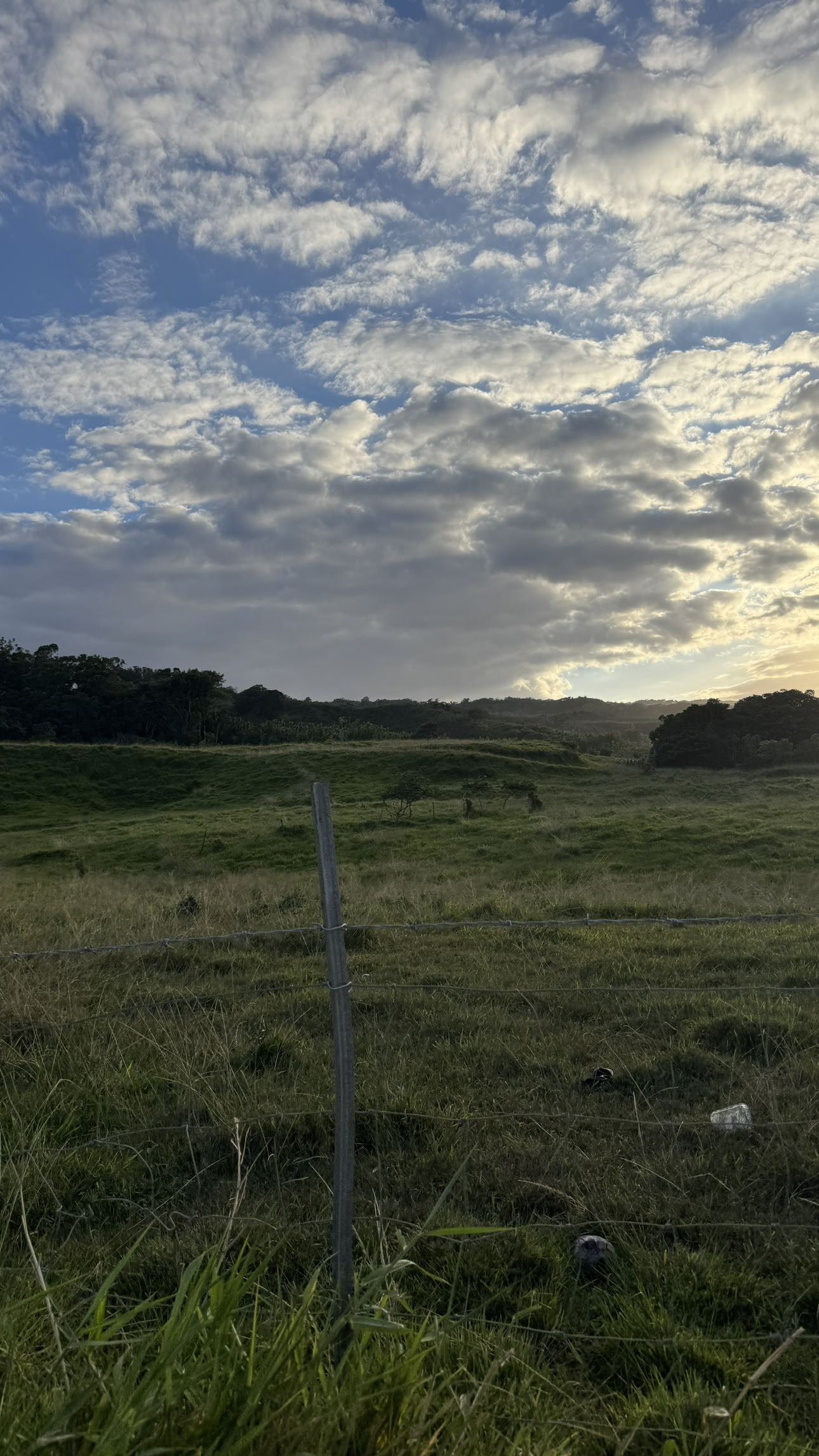 kkierstenking snapchat image archive image