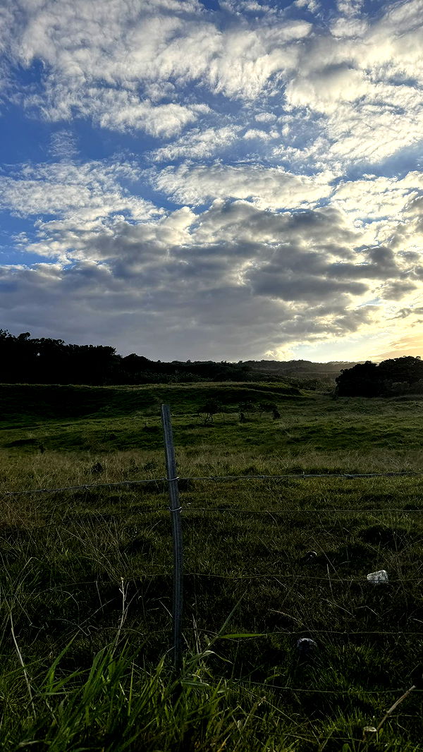 kkierstenking image ~ Altpins