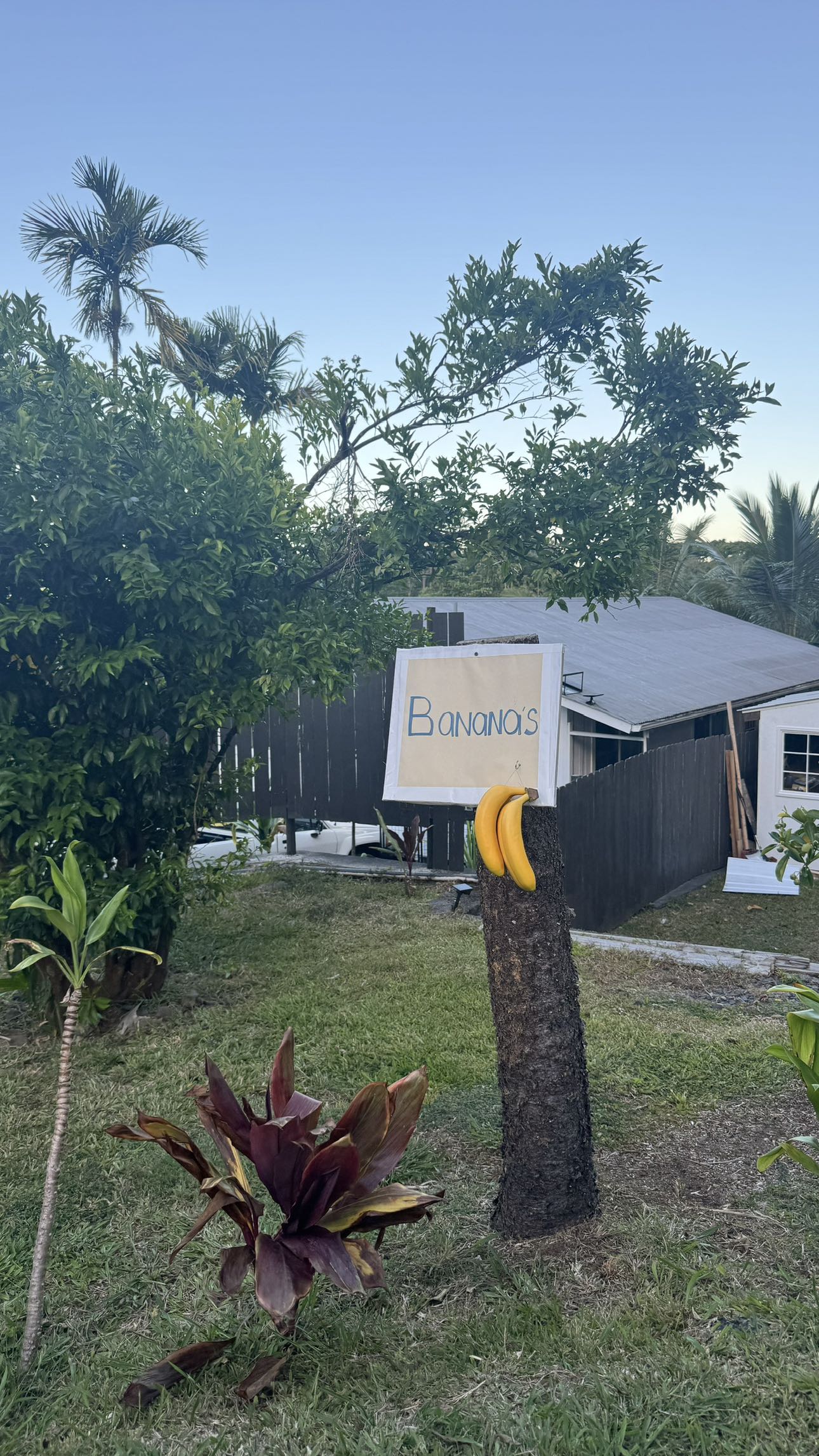 kkierstenking snapchat image archive image