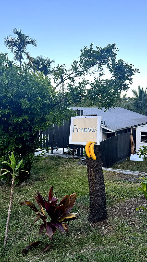 kkierstenking image ~ Altpins