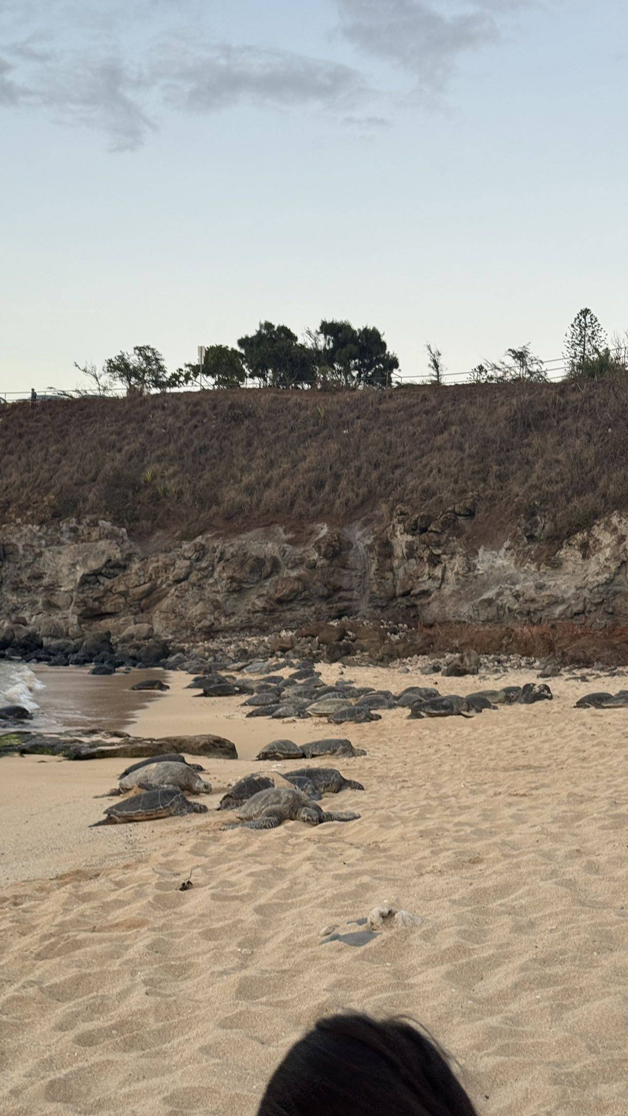 kkierstenking snapchat image archive image