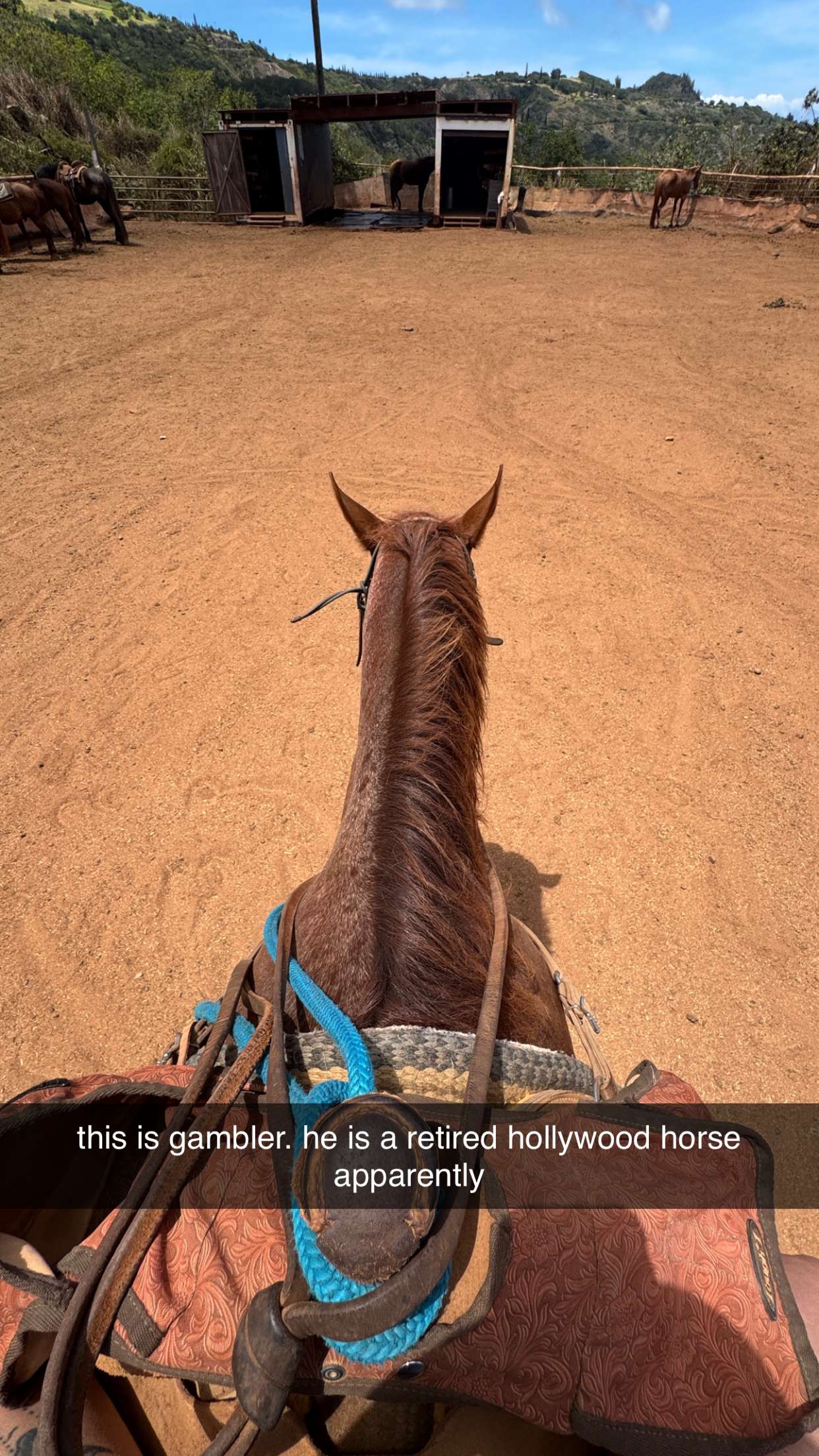 kkierstenking snapchat image archive image