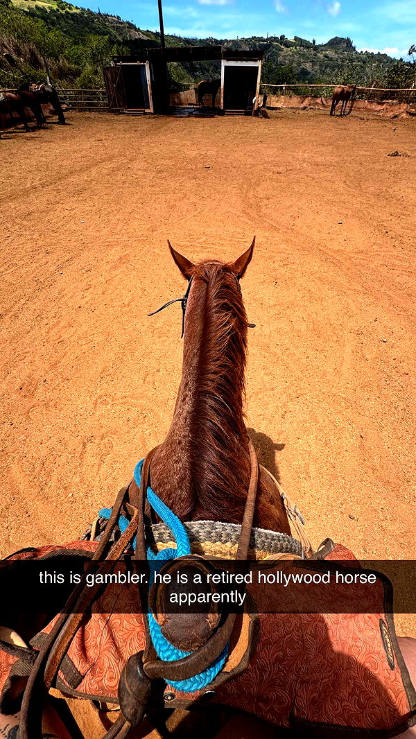 kkierstenking image ~ Altpins