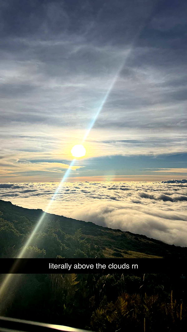 kkierstenking image ~ Altpins