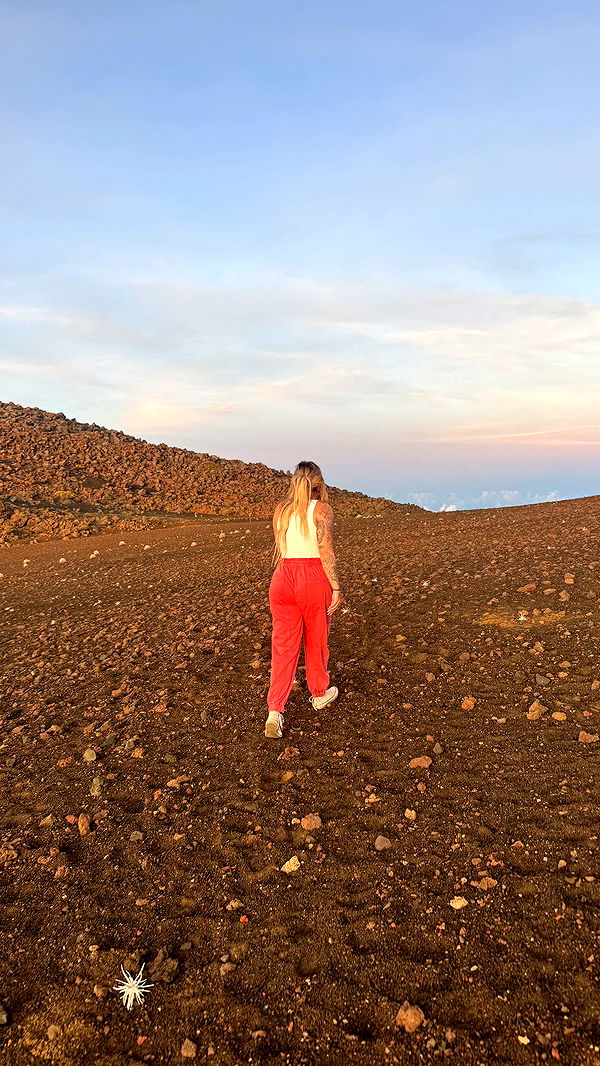 kkierstenking image ~ Altpins